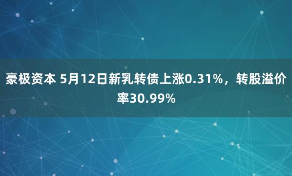 豪极资本 5月12日新乳转债上涨0.31%，转股溢价率30.99%