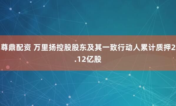 尊鼎配资 万里扬控股股东及其一致行动人累计质押2.12亿股