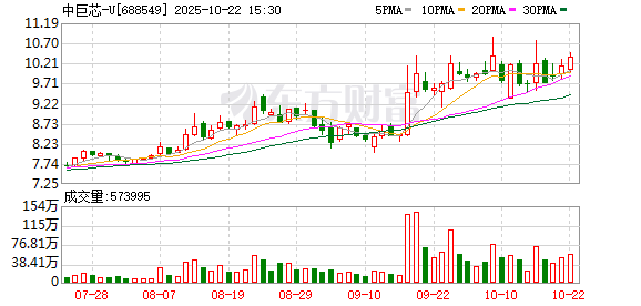 晟红网 中巨芯：2024年年度权益分派实施公告