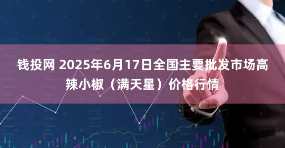 钱投网 2025年6月17日全国主要批发市场高辣小椒（满天星）价格行情